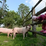 Bad Kleinkirchheim Bio Naturhof Ottingerhof