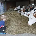 Bio Naturhof Ottingerhof バド クラインキルヒハイム