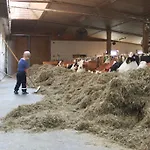 Bio Naturhof Ottingerhof バド クラインキルヒハイム