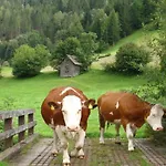 アパート Bio Naturhof Ottingerhof