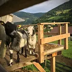 Apartment Bad Kleinkirchheim Bio Naturhof Ottingerhof *