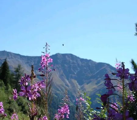 Skihomes Ottingerhof In -ski Out *