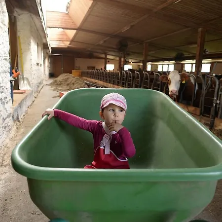 アパート Skihomes Ottingerhof In -ski Out