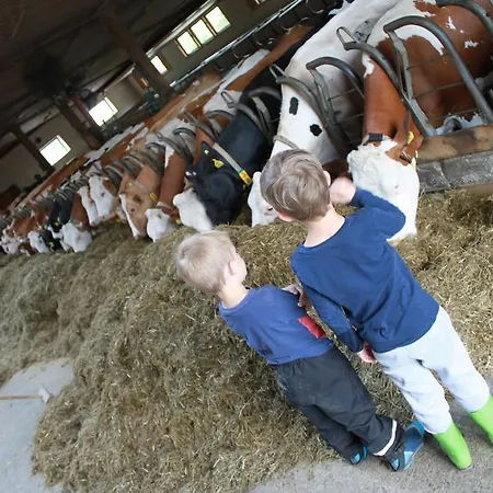 アパート Skihomes Ottingerhof In -ski Out