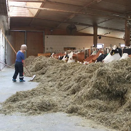 Skihomes Ottingerhof In -ski Out バド クラインキルヒハイム