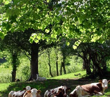 アパート Skihomes Ottingerhof In -ski Out *