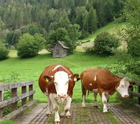 Lejlighed Bad Kleinkirchheim Bio Naturhof Ottingerhof