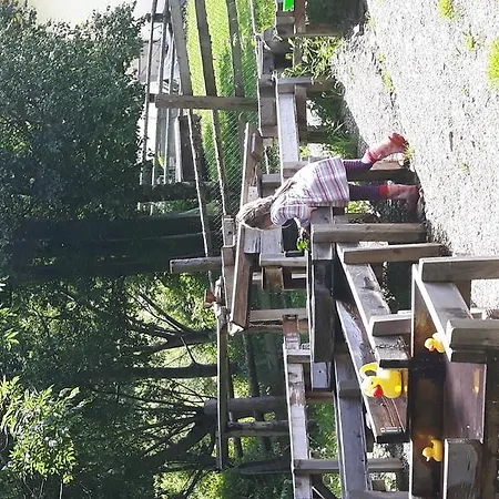 Skihomes Ottingerhof In -ski Out アパート バド クラインキルヒハイム