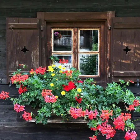 アパート Skihomes Ottingerhof In -ski Out *