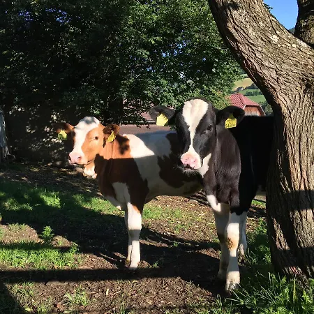 Skihomes Ottingerhof In -ski Out *