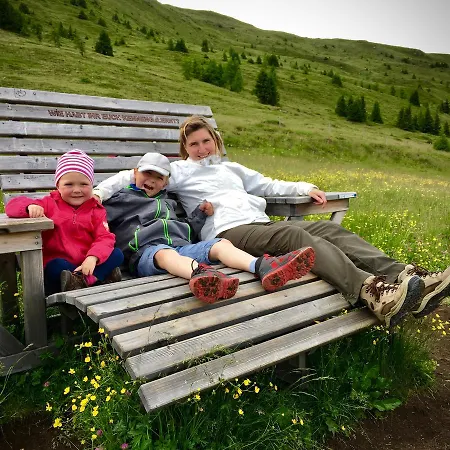 Skihomes Ottingerhof In -ski Out