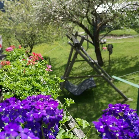 Bad Kleinkirchheim Bio Naturhof Ottingerhof Lejlighed