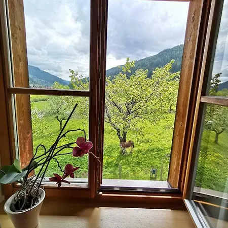 Skihomes Ottingerhof In -ski Out