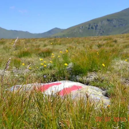 Skihomes Ottingerhof In -ski Out バド クラインキルヒハイム